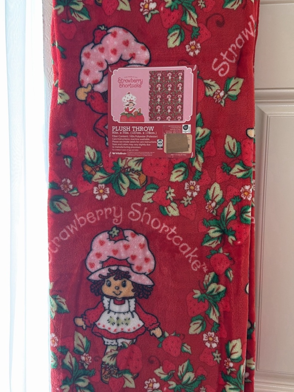 Strawberry Shortcake Plush Throw Blanket - Red